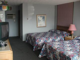 Rainbow Motor Inn - Fallsview - 6