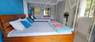 THE " ONEX PARADISE " ELLA - Ella - 5