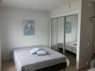 Moderni avara yksiö Jyväskylän ydinkeskustassa - 1