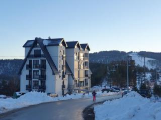 Apartman SRNA, Vila JEZERO - 8