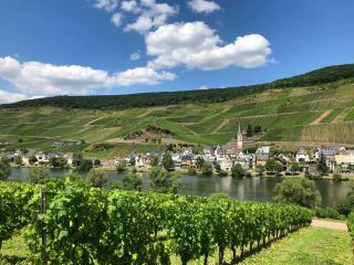 Ferienwohnungen Merl - Zell an der Mosel - 2