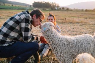 Farmstay at the Goat Shed Cottage, Spinlea Farm - 6