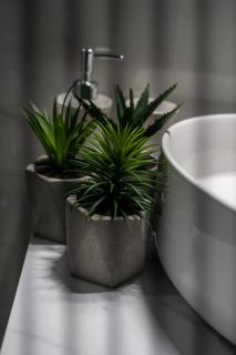 Triantos Guesthome Studio - 3