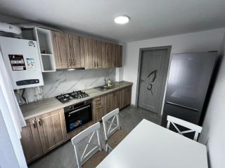 Cozy Urban Accommodation in Beautiful Suceava - Suceava - 8