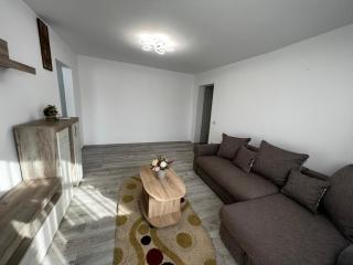 Cozy Urban Accommodation in Beautiful Suceava - 3