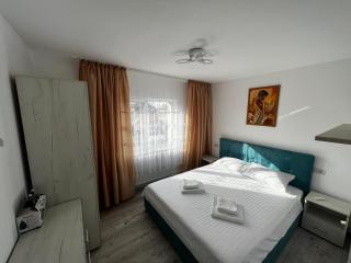 Cozy Urban Accommodation in Beautiful Suceava - Suceava - 6
