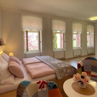 Apartmány Bašta & Wellness - Sušice - 5