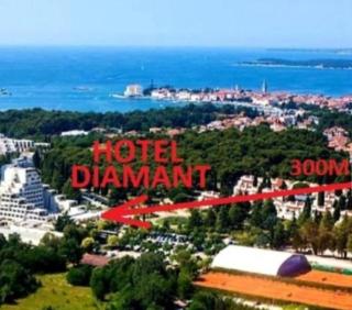 New!!! NEW RIVA LUXURY ONE - with sunny terrace & big garden - Poreč - 1