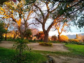 Olive and Vine Farm Cottage - Franschhoek - 9