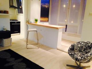 Cozy Studio - Floreasca/Dorobanti - Bucharest - Bucharest - 6