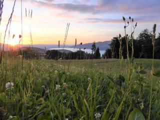 Ferienwohnung Träumli - 9