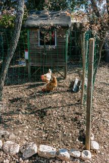Le JARDIN DES DELIS gite NEUF avec piscine bio UV - 5