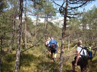 Pensiunea Casa Alexandra - 6