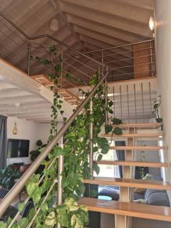 Lemontree house set in the countryside. - 6