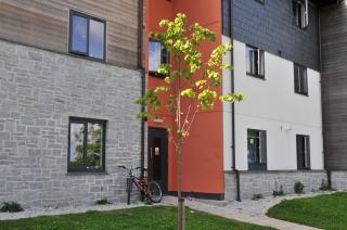 Glasney Rooms, University Campus Penryn - Falmouth - 9