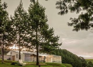 Dargle Forest Lodge - Dargle - 6