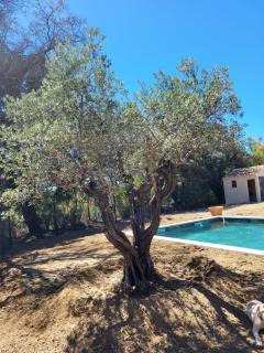 Villa gitedelea - Aubignan - 2