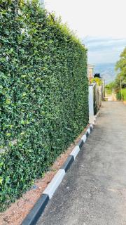 Zane Apartments in Rebero Heights - 4