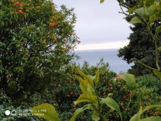 La Promenade à Menton - 9