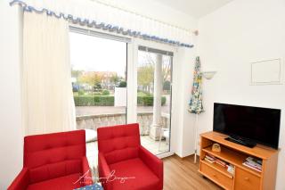 Schnieders-Muschel - 3