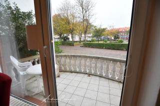 Schnieders-Muschel - 6