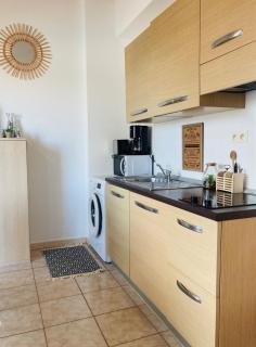 Bel appartement dans résidence avec piscine - Linguizzetta - 7