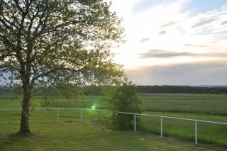 Maison Le Corbusier - 3