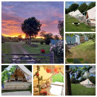 Hopgarden Glamping and camping - Luxury furnished Bell tents & Shepherd huts plus camp field to pitch your own tents - Wadhurst - 9