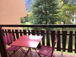 Charmant studio avec terrasse et garage fermé - Saint-Martin-Vésubie - 9