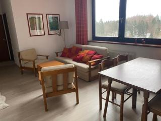 Dachstein Panorama-Lodge - Bad Goisern - 5