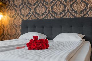 Apartamente La Teatru Orient - Oradea - 7