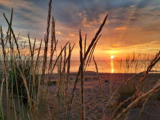 Sandy Kelt - Irish House Apartments - 3