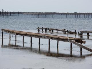 Appartement Proche Thermes avec Balcon et Parking à Balaruc-les-Bains - FR-1-503-23 - 7