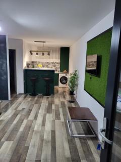 ApartHotel Dominic Residence - Alba Iulia - 7