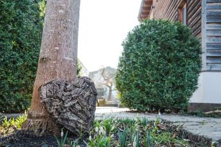 Naturhaus Luminus - Bad Aibling - 5