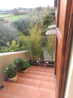 La casa del fenicottero - SantʼAngiolo a Lecore - 7