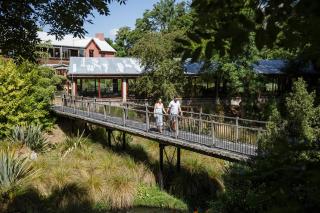 Millbrook Resort - Arrowtown - 7