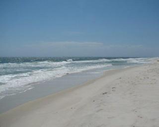 Rookery 801 - Gulf Shores - 6