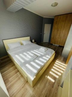 Olive Apartament - Iaşi - 7