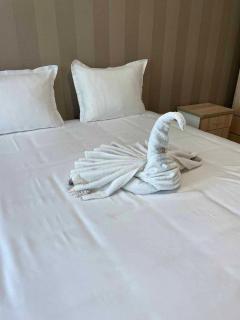 Apart hotel Gallery L - Sunny Beach - 2