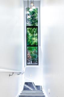 Alpine Vista - 2