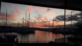 Marina Views - One Tree Point - 0