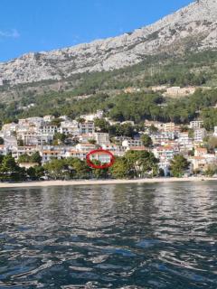 Apartments by the sea Brela, Makarska - 20598 - 9