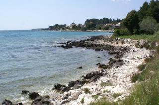 Apartments by the sea Cove Gradina, Korcula - 20658 - Vela Luka (Vallegrande) - 7