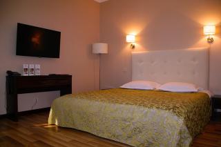 Viktoria Park Hotel - Buča - 8
