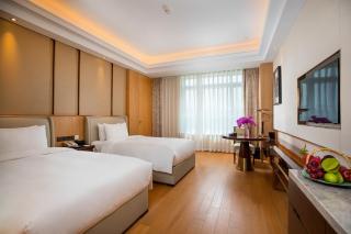 Landison Plaza HSD Hotel Hangzhou - Hangzhou - 6