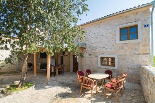 House Stone Curlew 1 - 2