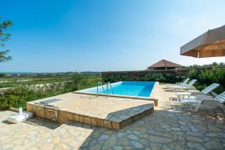 House Stone Curlew 2 - 1