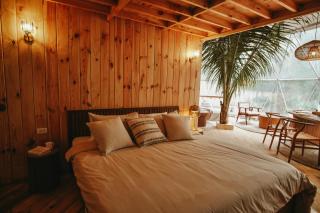 Treehouse de Valentine - Balamban - 3