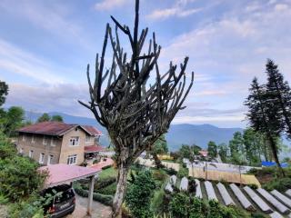 Aaravi Garden Homestay - 4
